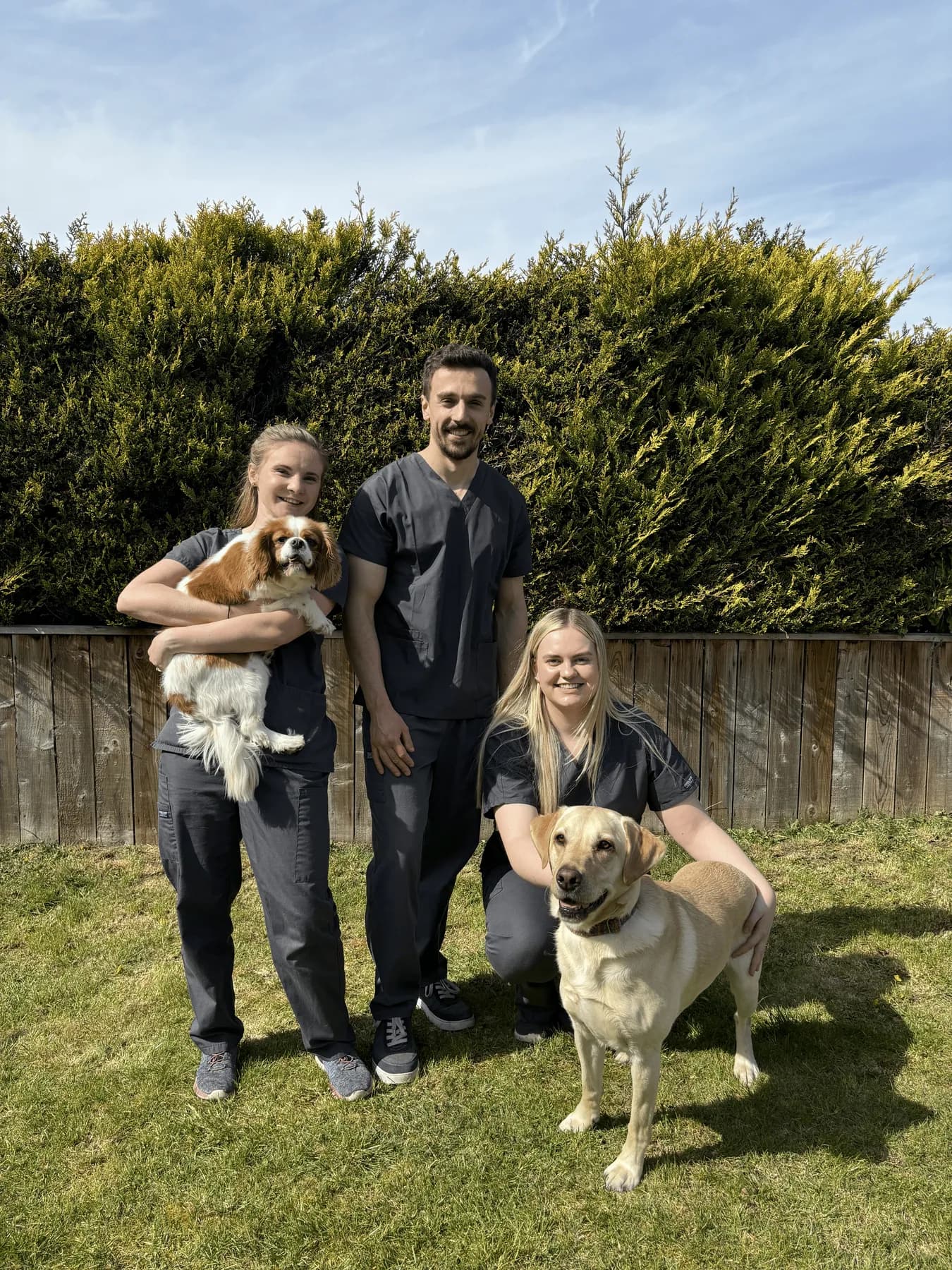 Ironstone veterinary team