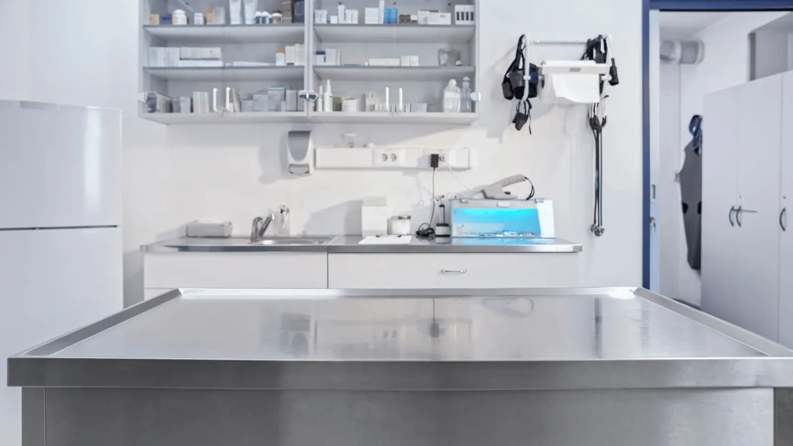 Veterinary treatment facilities